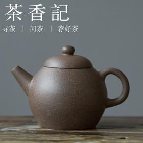 茶香记  青灰泥倒把小龙珠   “鲨鱼皮” 玲珑可爱 色泽内敛 茶壶