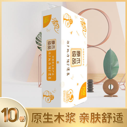 清风无芯卷纸卫生纸纸巾厕纸750克/提1提10卷3层多省包邮新老包装 商品图0