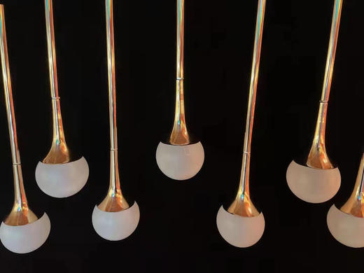 新款第二代十头芦苇灯串【运费自理】 商品图2