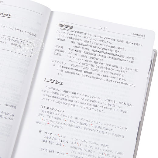 预售 【中商原版】NHK日语发音重音新辞典 日文原版 NHK日本語発音アクセント新辞典 商品图3