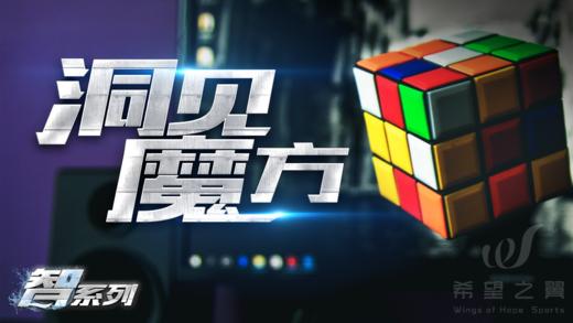 潮流团建 · 洞察魔方 商品图0