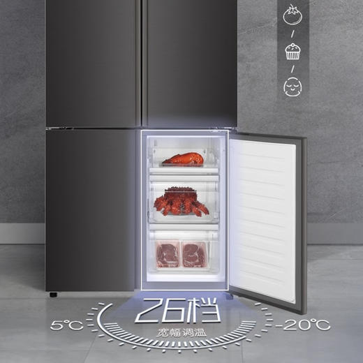 卡萨帝（Casarte）冰箱BCD-650WLCTD79G3U1 商品图5