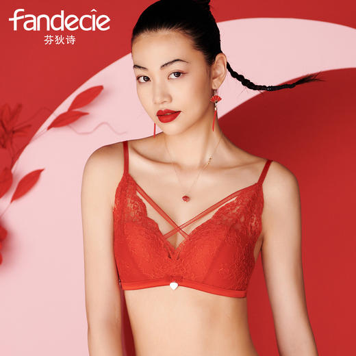 芬狄诗性感蕾丝小胸内衣女无钢圈五角聚拢上托包容文胸FB00166 商品图2