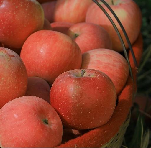 2021新疆阿克苏冰糖心苹果（仅限江浙沪包邮） 商品图1