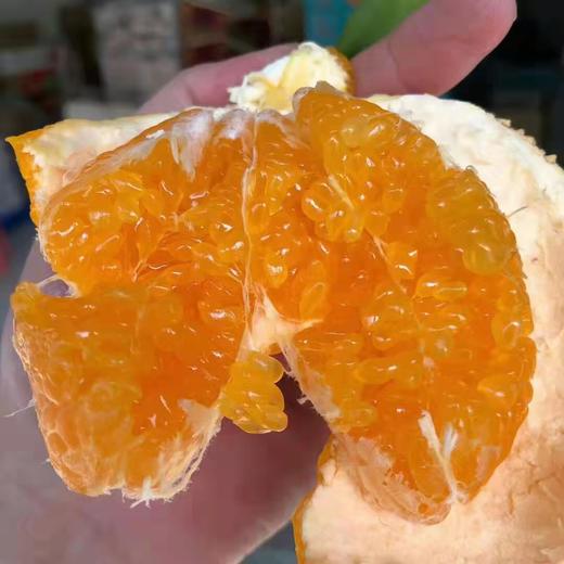 寻味优果春见爆汁蜜橘