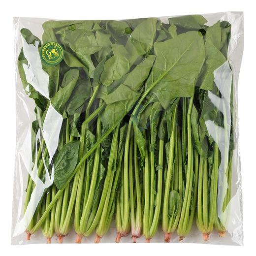 龙门山菠菜 约400g/袋 商品图2