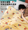 【一毯多用 适合全家使用】毛毛雨儿童毛毯双层加厚幼儿园被子午睡毯 商品缩略图0