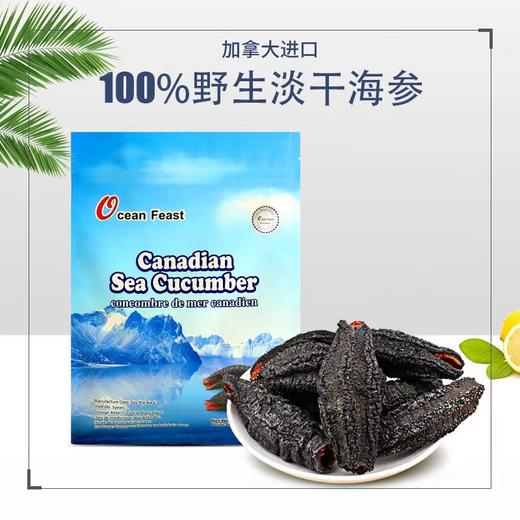 Ocean feast海洋盛宴白金级北极海参25头左右（大银标） 商品图0