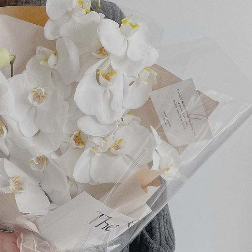 花艺 蝴蝶兰 · 花束 商品图1