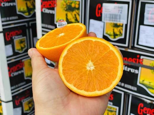 【澳洲甜橙 】12颗/份 来自澳洲的美味橙 橙味浓郁 果肉细腻 汁水十足 约230g/颗 商品图1