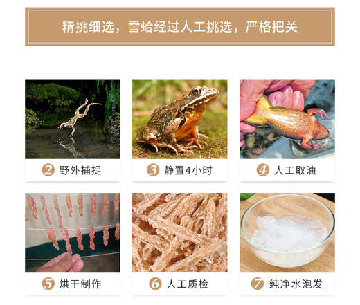 【东北特产 林蛙线油】林蛙线油 商品图3