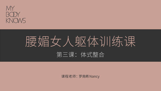 第三课：体式整合 商品图0