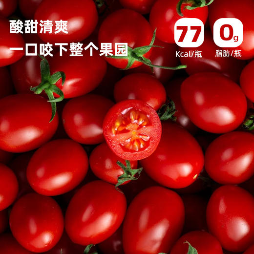 昔日印象番茄酱0脂肪挤压瓶装沙拉酱组合番茄沙司小包装家用商用 商品图1