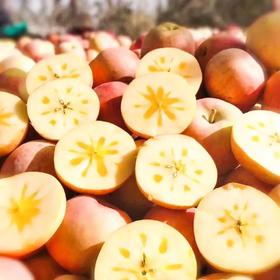 2021新疆阿克苏冰糖心苹果（江浙沪包邮）