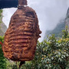 【高山“雅南黑猪”香肠&腊肉】2300年的古老品种 多部位多风味可选 肉质细腻 肉味十足 雅南土黑猪跑山猪 商品缩略图10