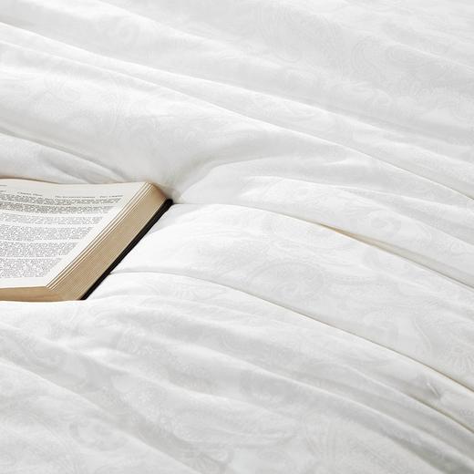 富安娜被芯沁享蚕丝春秋被 商品图6