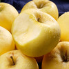 【山东.金苹果】奶油富士“黄金果” 果香浓郁 脆甜多汁 吃一口 就忘不了的味道 商品缩略图5