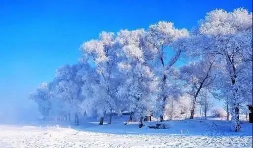 雪乡童话世界、查干湖冬捕、雾凇岛、镜泊湖冰瀑、东北虎雪地捕食7天摄影团 商品图5