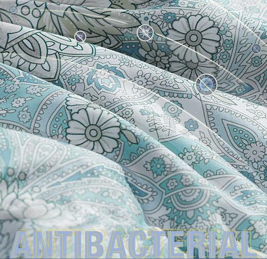 富安娜乌克兰进口抗菌鹅绒冬厚被 商品图6