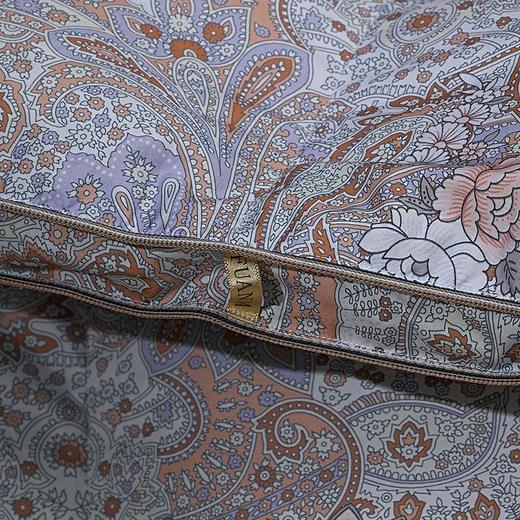 富安娜乌克兰进口抗菌鹅绒冬厚被 商品图10