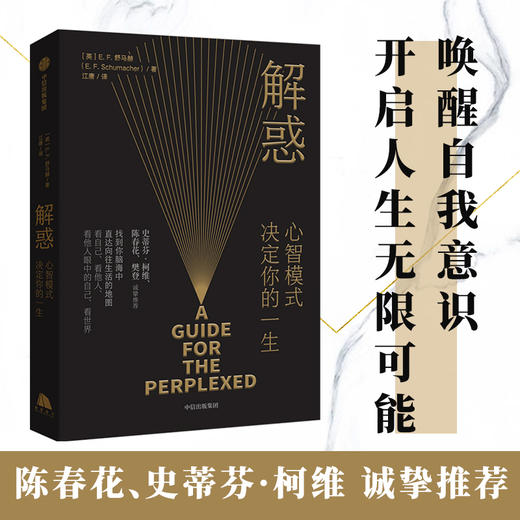 解惑：心智模式决定你的一生E F 舒马赫 著 史蒂芬 柯维高效能人士的7个习惯的灵感来源 商品图0