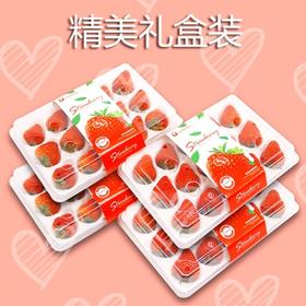 精品红颜草莓30元/盒