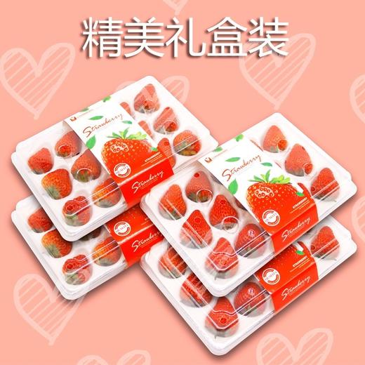 精品红颜草莓30元/盒 商品图0