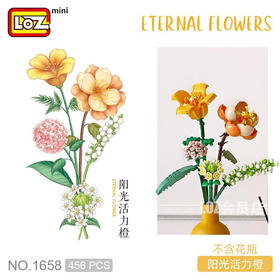 LOZ阳光活力橙1658