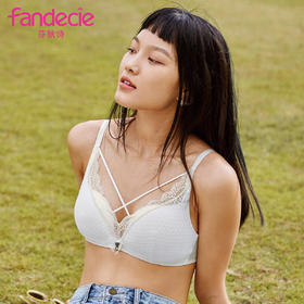 芬狄诗性感蕾丝无钢圈内衣女舒适小胸薄款文胸FB0168