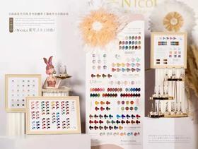 妮可2.0版全新升级138色套装