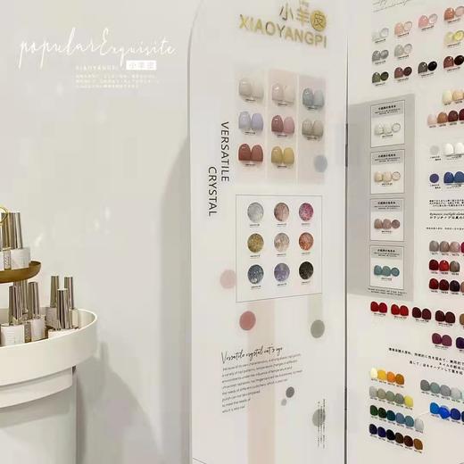 轻奢小羊皮系列148色套装 商品图1