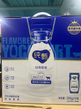 纯甄酸奶 经典原味酸奶 200g*10盒