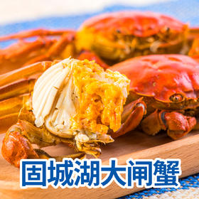【吃蟹季】（去年爆款）固城湖大闸蟹（一半公蟹一半母蟹）