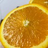 【澳洲甜橙 】12颗/份 来自澳洲的美味橙 橙味浓郁 果肉细腻 汁水十足 约230g/颗 商品缩略图7