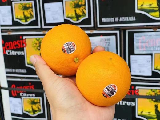【澳洲甜橙 】12颗/份 来自澳洲的美味橙 橙味浓郁 果肉细腻 汁水十足 约230g/颗 商品图4