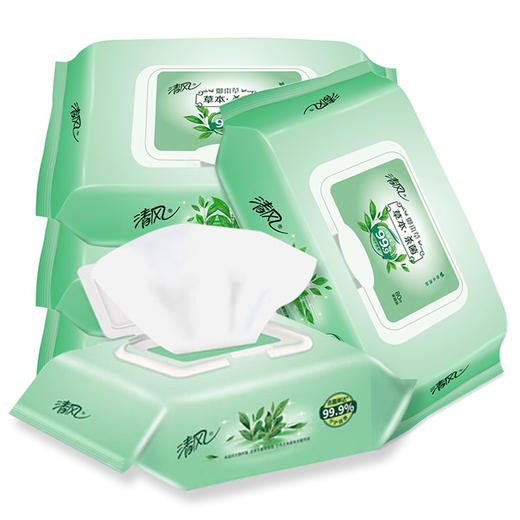 清风草本湿巾纸御本草卫生擦手清洁湿带盖纸巾消毒湿巾80片 商品图0