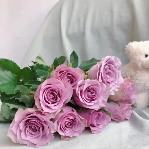 玫瑰冷美人基地a级温柔笑靥只为你一人绽放