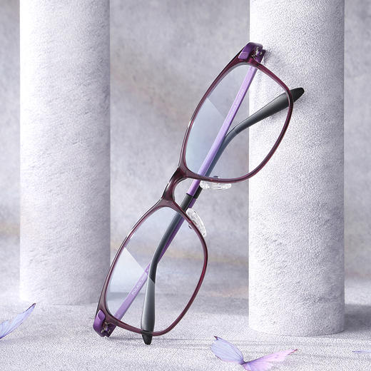 【上新】普莱斯PR10025 塑钢 全框 商品图7