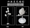 六头莲花路引【运费自理】 商品缩略图3