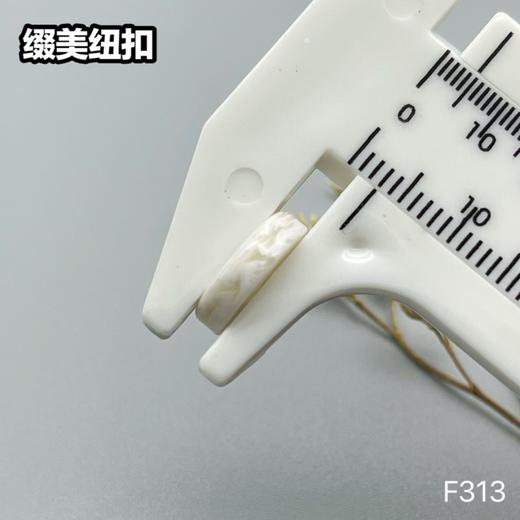 F313(整包购买) 商品图5