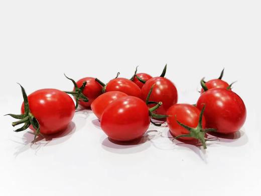 樱桃番茄 500g 商品图0