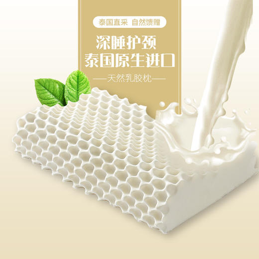 康尔馨泰国进口乳胶枕头成人护颈枕芯单人颈椎橡胶记忆枕芯一只 商品图0