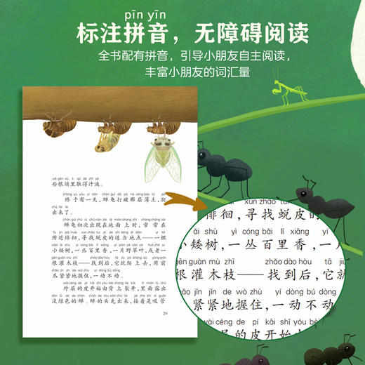 给孩子的经典动物故事（彩绘注音版礼盒装共12册）  6-8-10岁 商品图7