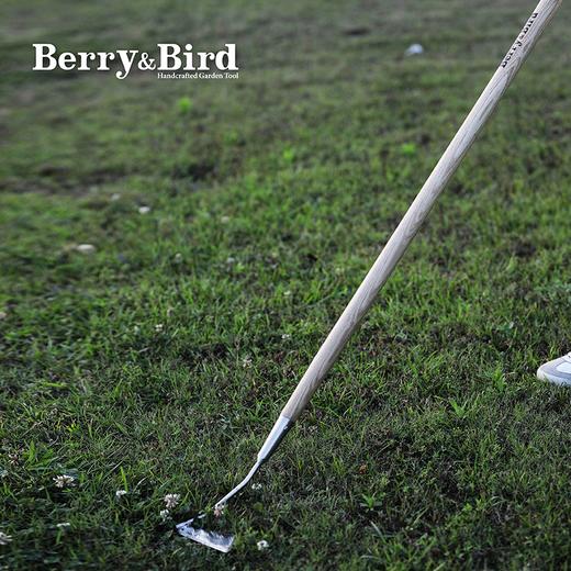Berry&Bird不锈钢荷兰锄不锈钢摆动拉锄不锈钢翻草耙飞机铲 商品图1