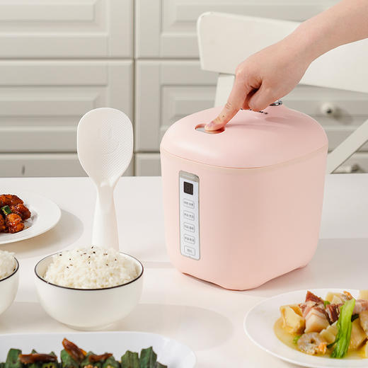 乐扣乐扣 | 电饭煲家用迷你一人食电饭锅蒸饭器智能热饭煮粥锅1-2人容量 商品图4