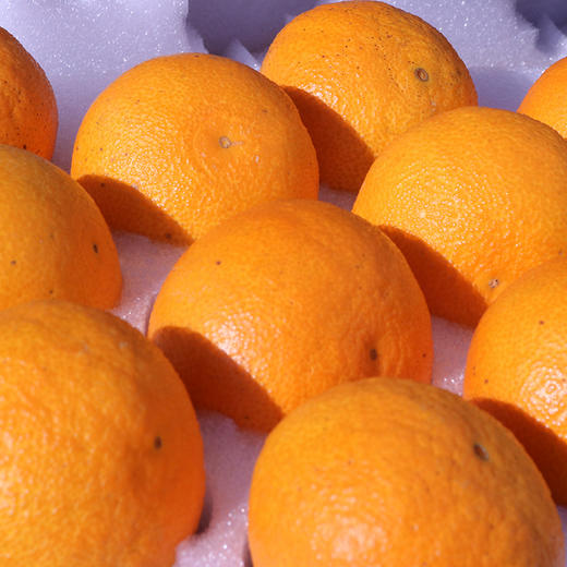 象山红美人柑橘 2500g 商品图1