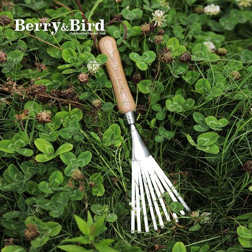 Berry&Bird不锈钢灌木耙不锈钢树叶耙不锈钢修边铲 商品图2