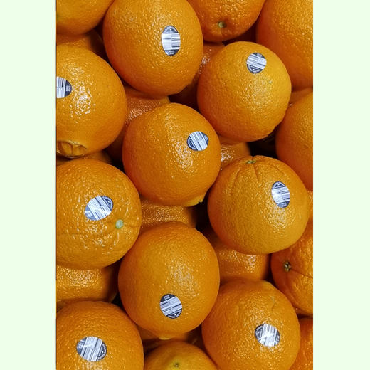 【社群秒杀】澳洲黑标3107脐橙2个 500g左右 汁多味甜 橙心诚意 生鲜商品请尽快提货 商品图1