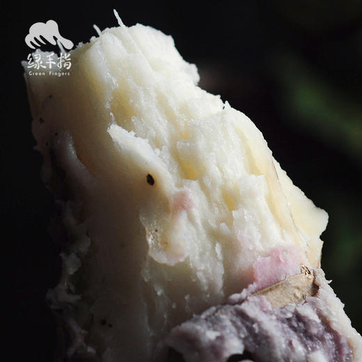 有机森林山药  | 合作生产 * Organic Forest Chinese yam | Coproduction 商品图2