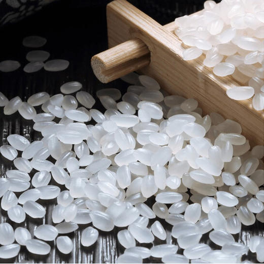 金龙鱼优质东北大米【25kg】 商品图1